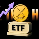 “Whatsapp Killer?” Elon Musk Reveals X Chat, a Bitcoin-Style Encrypted Messaging App 