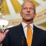 Nvidia stock falls: is Michael Burry’s short a sign of what’s coming?