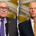 Is Nvidia next? Why is China lifting its ban on certain Nexperia chips